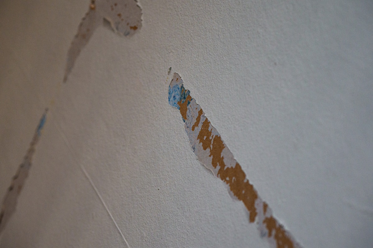 Water Extraction service in Lincoln, CA